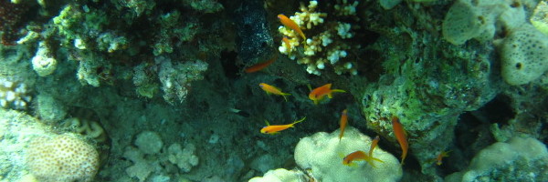 Dieses Bild kann derzeit leider nicht angezeigt werden.